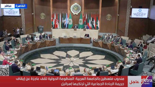 مندوب فلسطين بالجامعة العربية