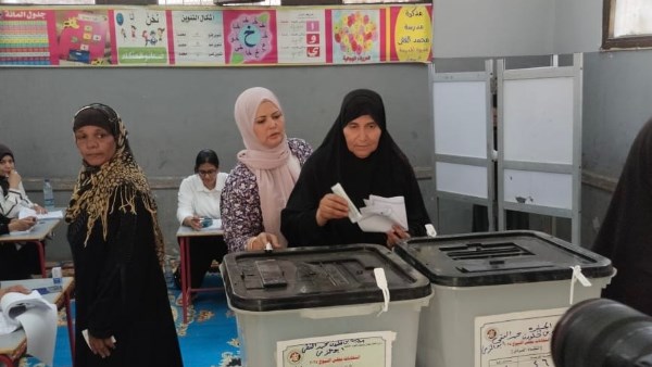 انتخابات الشيوخ 