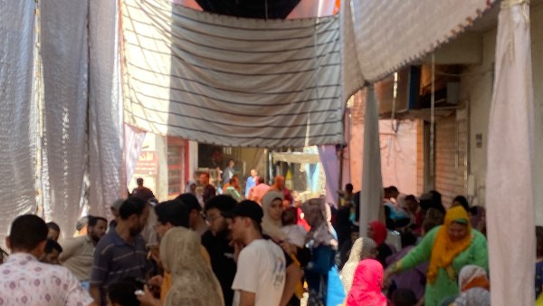 انتخابات الشيوخ 