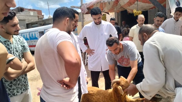 قافلة تنموية شاملة لجامعة دمنهور
