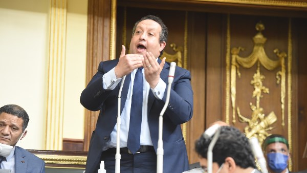 الدكتور محمد عبد الغني