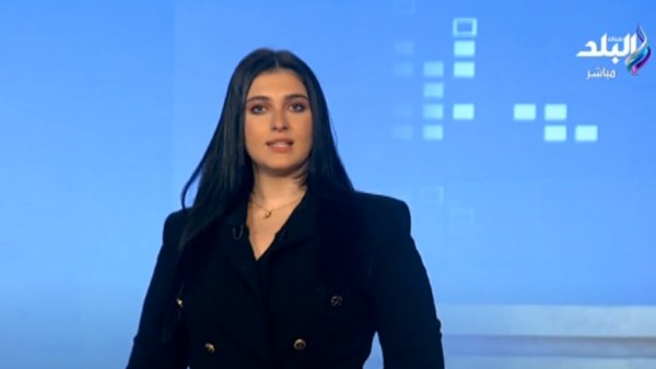 كيفية التصويت في انتخابات مجلس الشيوخ 2025.. عرض تفصيلي
