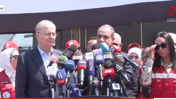 بدر عبد العاطي وزير الخارجية
