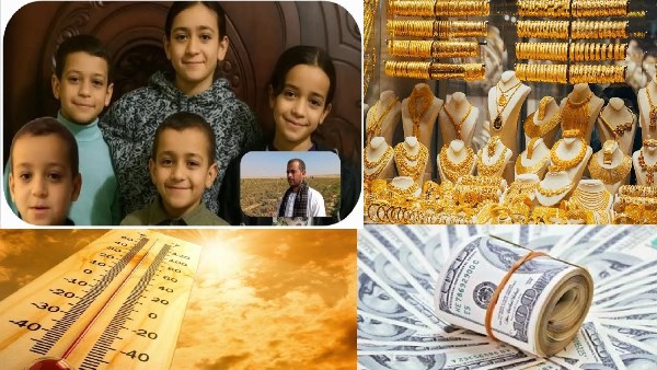 صورة الملف