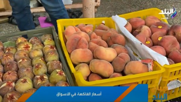 الفاكهة 