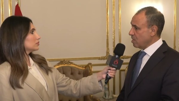 وزير الخارجية: الرئيس السيسي يقود سياسة نشطة.. ومصر تواصل جهود دعم القضية الفلسطينية