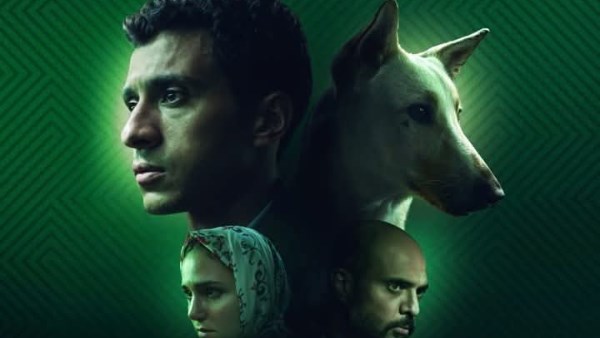 البحث عن منفذ لخروج السيد رامبو 