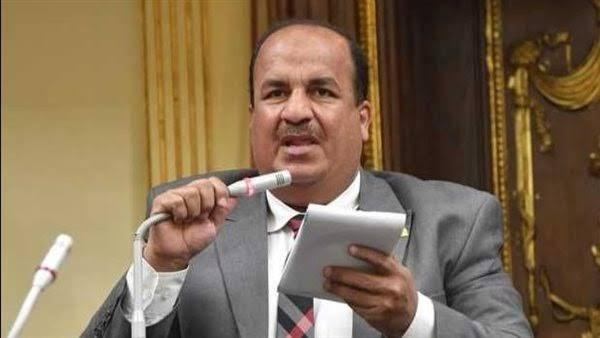 الدكتور محمد عبد الحميد وكيل لجنة الشئون الاقتصادية بمجلس النواب