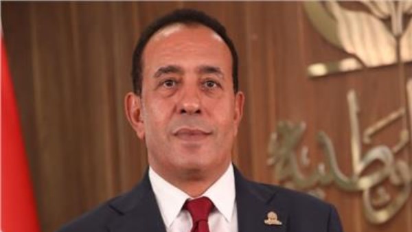 النائب محمد شعيب، عضو مجلس الشيوخ عن حزب الجبهة الوطنية