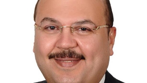 ميشيل الجمل، عضو مجلس الشيوخ عن حزب مستقبل وطن 
