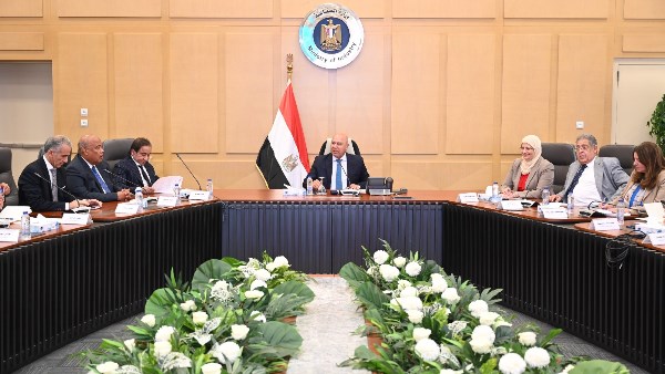 ارشفيه 