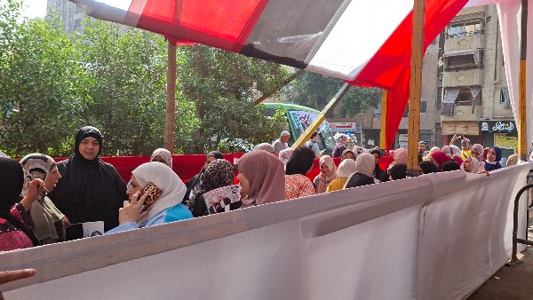 انتخابات مجلس الشيوخ 