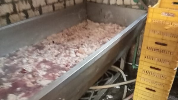 لحوم فاسدة