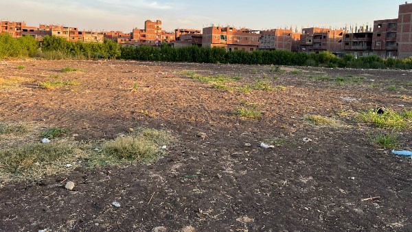 أهالي بني مجدول بالجيزة يتبرعون بأرض لبناء مدرسة ويناشدون المحافظ: سرعوا الخطوات قبل فوات الأوان