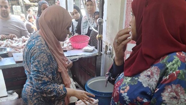 حملات مكثفة في المنوفية 