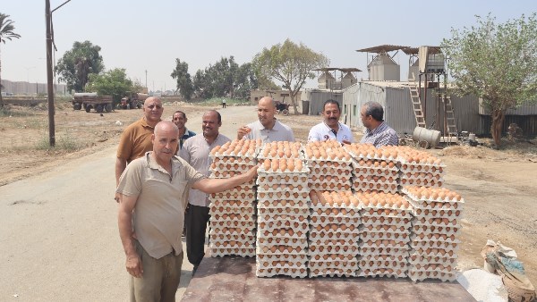 سكرتير عام بني سويف