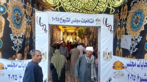 إقبال كبير من السيدات في اليوم الثاني لانتخابات مجلس الشيوخ بالمنيا.. شاهد