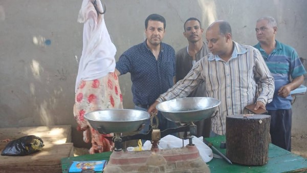حملات تفتيشية 