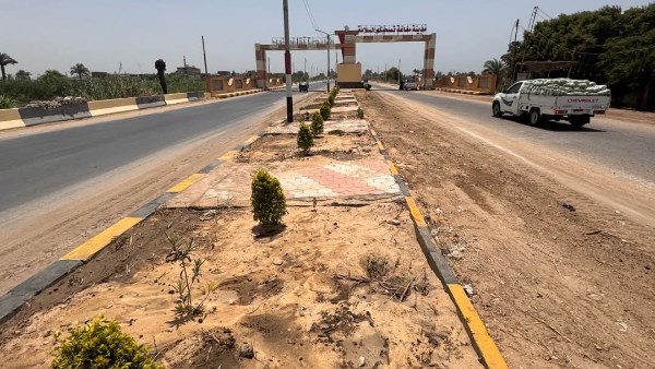 المنيا.. حملات مكثفة للنظافة والتجميل وزراعة 1200 شجرة