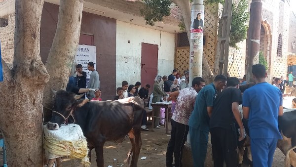 قوافل بيطرية في مراكز محافظة أسيوط 