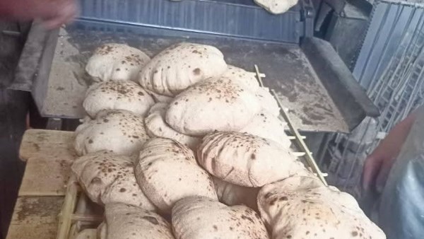 حملات تموينية بأسيوط 