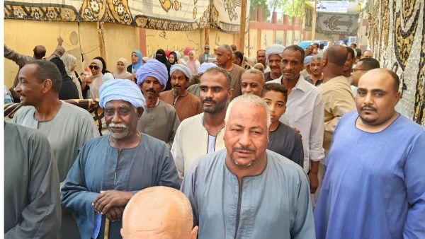 انتخابات مجلس الشيوخ