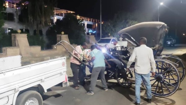 جهود محافظة اسوان 