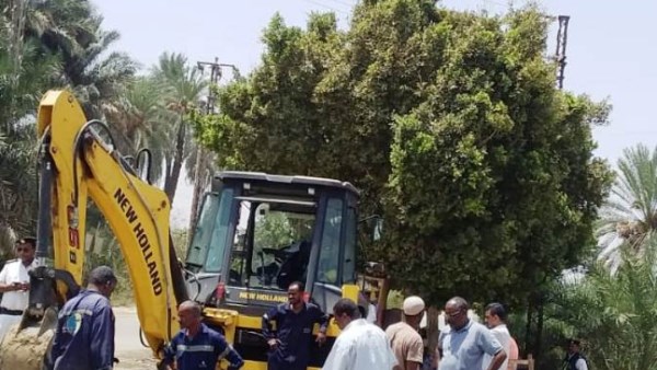 جهود محافظة اسوان 