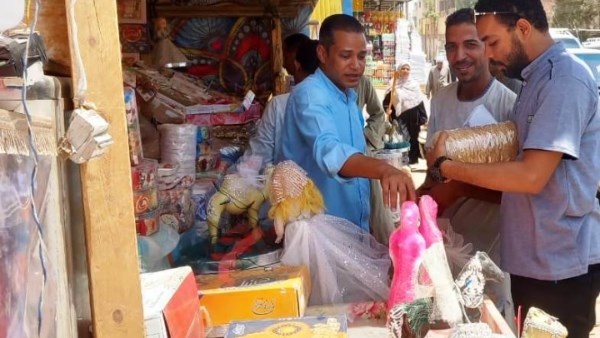 جهود محافظة اسوان 