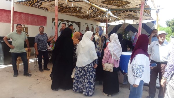 استمرار توافد الناخبين وانتظام عملية التصويت داخل لجان انتخابات الشيوخ بالوادي الجديد| صور