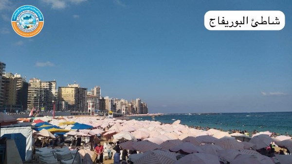 شواطئ الاسكندرية كاملة العدد