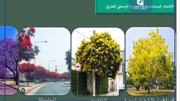 الطريق بعد التطوير 