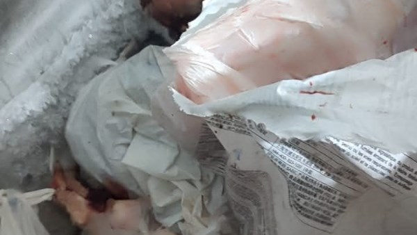 بورسعيد تضبط 114 كجم لحوم مذبوحة خارج السلخانة