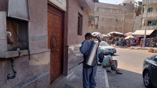 القضاء على الحشرات