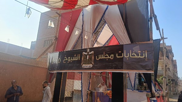 انتخابات الشيوخ 
