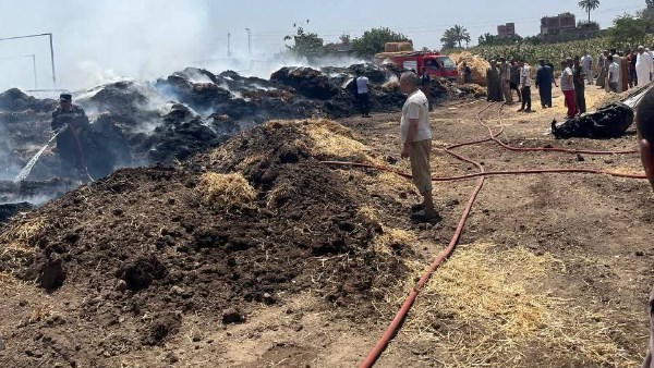 ندب المعمل الجنائي لفحص نشوب حريق شب فى مزرعة مواشى بالقليوبية