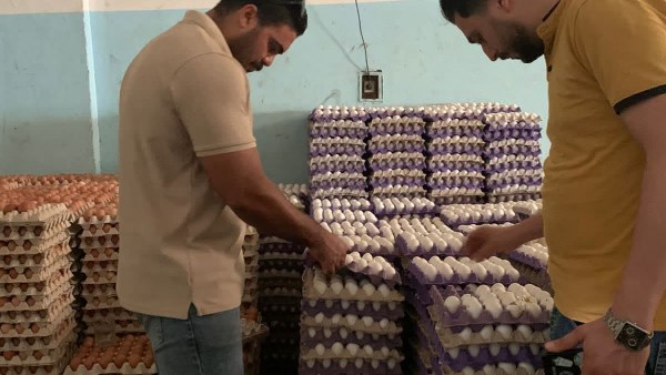محافظ الغربية يتابع الحملات المفاجئة لهيئة سلامة الغذاء