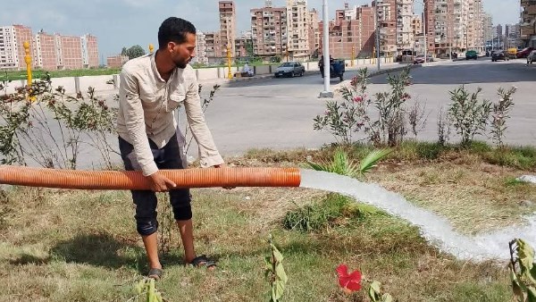 رفع كفاءة أعمال النظافة والمسطحات الخضراء بحي غرب كفر الشيخ