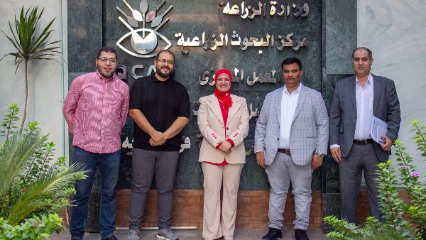 متبقيات المبيدات 