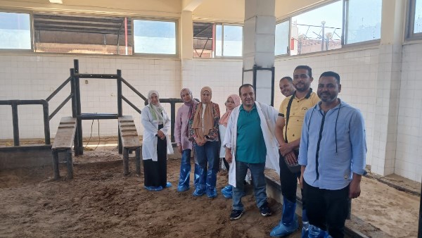 الخدمات البيطرية 