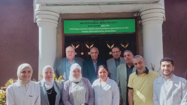 عمل سمارت لاب لتشخيص الأمراض النباتية 