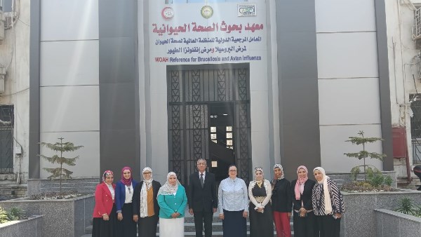 معهد بحوث الصحة الحيوانية 