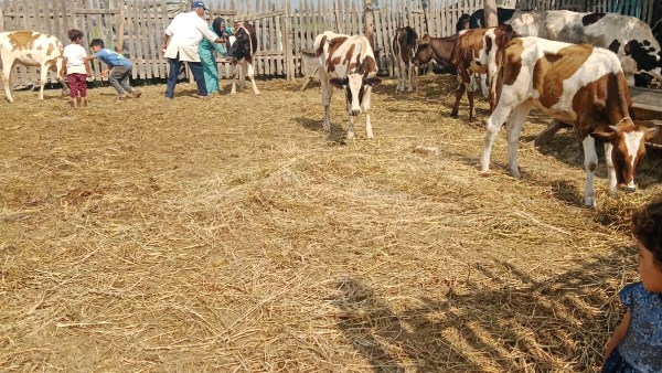 الإرشاد الزراعي 
