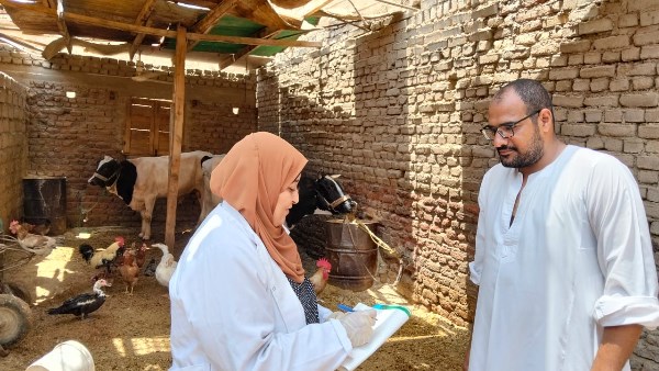 الخدمات البيطرية 