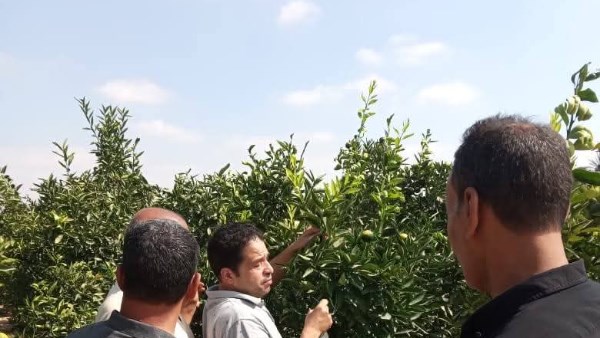 مكافحة ذبابة الفاكهة