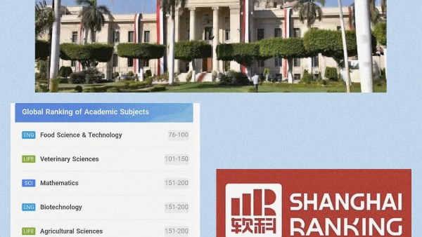 جامعة القاهرة 