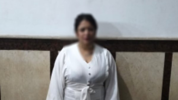 البلوجر