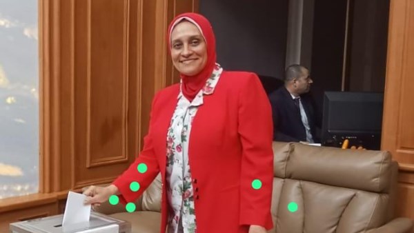 11 لجنة انتخابية بالقارة الإفريقية تفتح أبوابها لاستقبال الناخبين المصريين