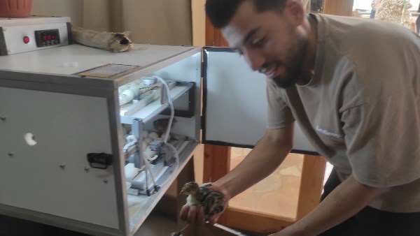 «فقاسة البيض»| مشروع مُربح من غرفة منزلك ويُزيد الثروة الداجنة.. السر في هذا الجهاز |شاهد