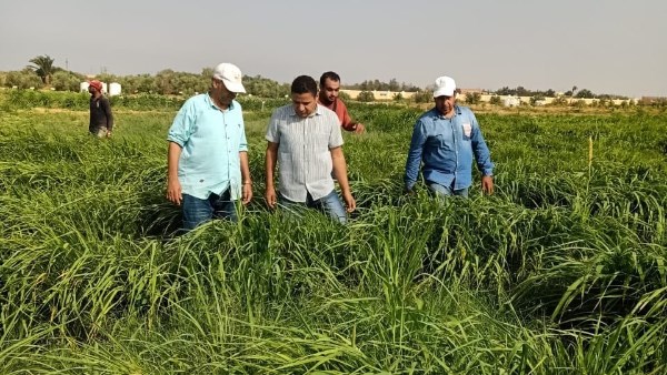 التجربة في مركز بحوث الصحراء 